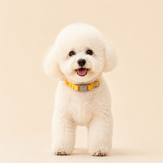 Cotton-Feel Dog Collar, Nylon, Quick-Release Buckle