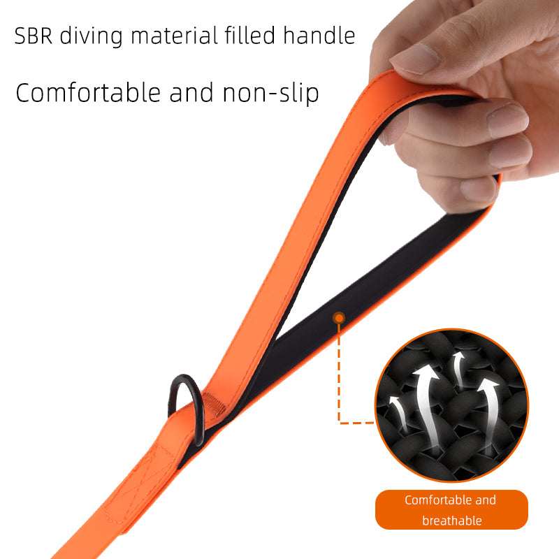 Laisse pour animal de compagnie en PVC étanche lavable – Anneau en D d'escalade Conception anti-évasion