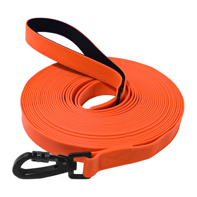 Laisse pour animal de compagnie en PVC étanche lavable – Anneau en D d'escalade Conception anti-évasion