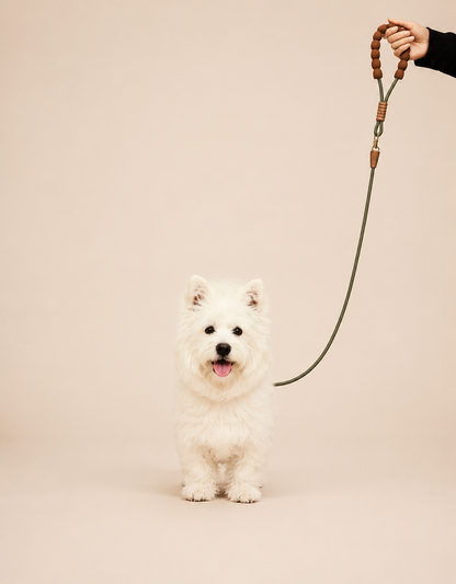 Competition-grade P-chains, P-leashes, dog leashes, nylon leashes, anti-snap leashes
