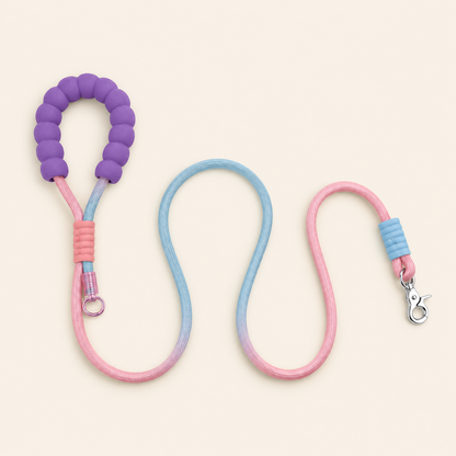 Dopamine-Style Dog Leash, Explosion-Proof Pet Leash, Fashionable Dog Leash
