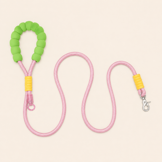 Dopamine-Style Dog Leash, Explosion-Proof Pet Leash, Fashionable Dog Leash