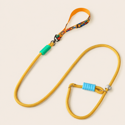Printed P Rope Pet Dog Leash – Anti-Bold Pulling / Anti-Rushing, Fits All Dog Breeds.
