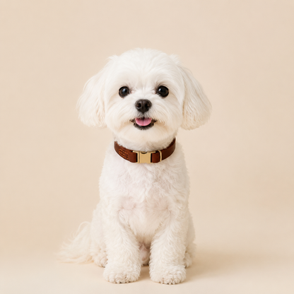 Cowhide Leather Dog Collar – Vintage Look, for All Breeds of Dogs.