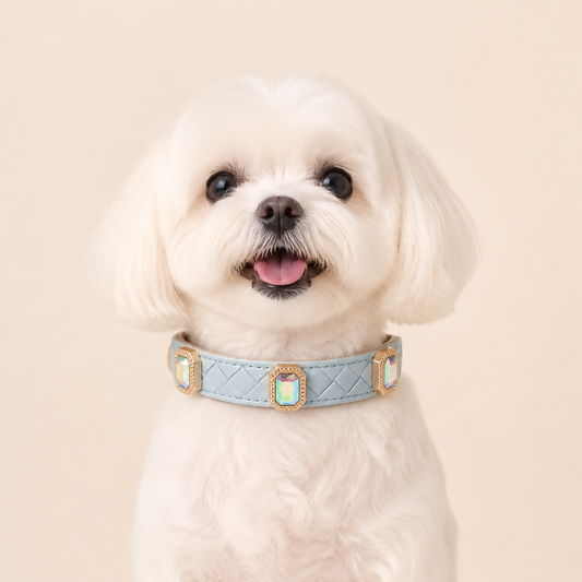 PU leather collar and leash, braided with rhinestone accents