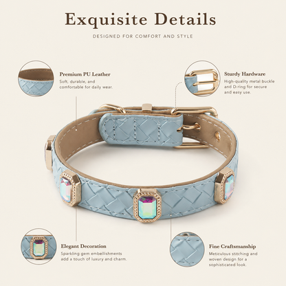 PU leather collar and leash, braided with rhinestone accents