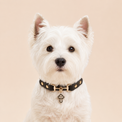 Gothic Cross Dog Collar – Black Leather Pendant Necklace for Small Medium Dogs, Religious Christian Pet Supplies，Punk Rock Dog Collar