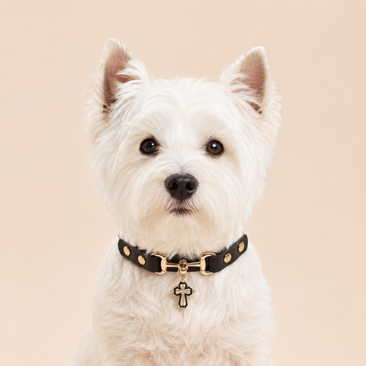 Gothic Cross Dog Collar – Black Leather Pendant Necklace for Small Medium Dogs, Religious Christian Pet Supplies，Punk Rock Dog Collar