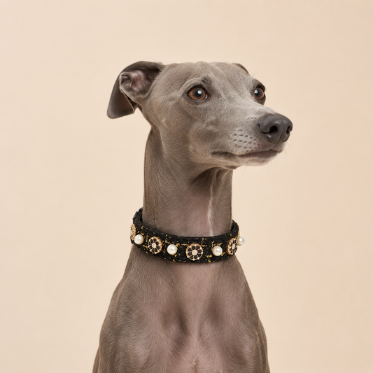 Pearl-embellished dog collar | Camellia-embellished collar, suitable for all dog breeds and cats