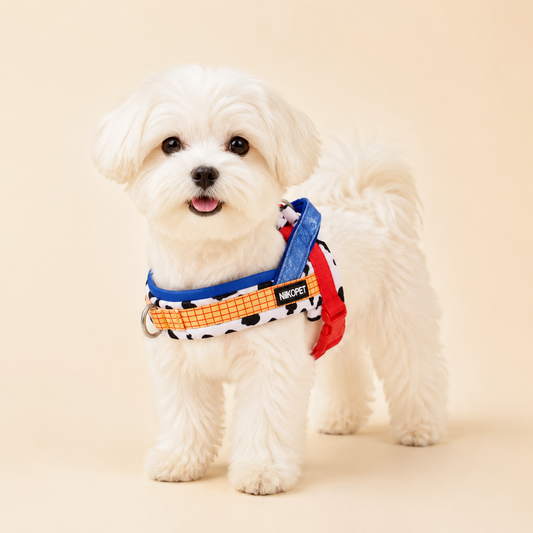 Saddle-Style and Chest-Back-Style Harness Set, Suitable for All Dog Breeds