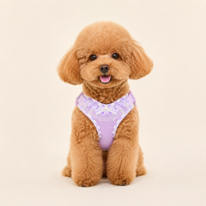 Lace and Beaded Leash and Harness Set, Breathable Mesh Design