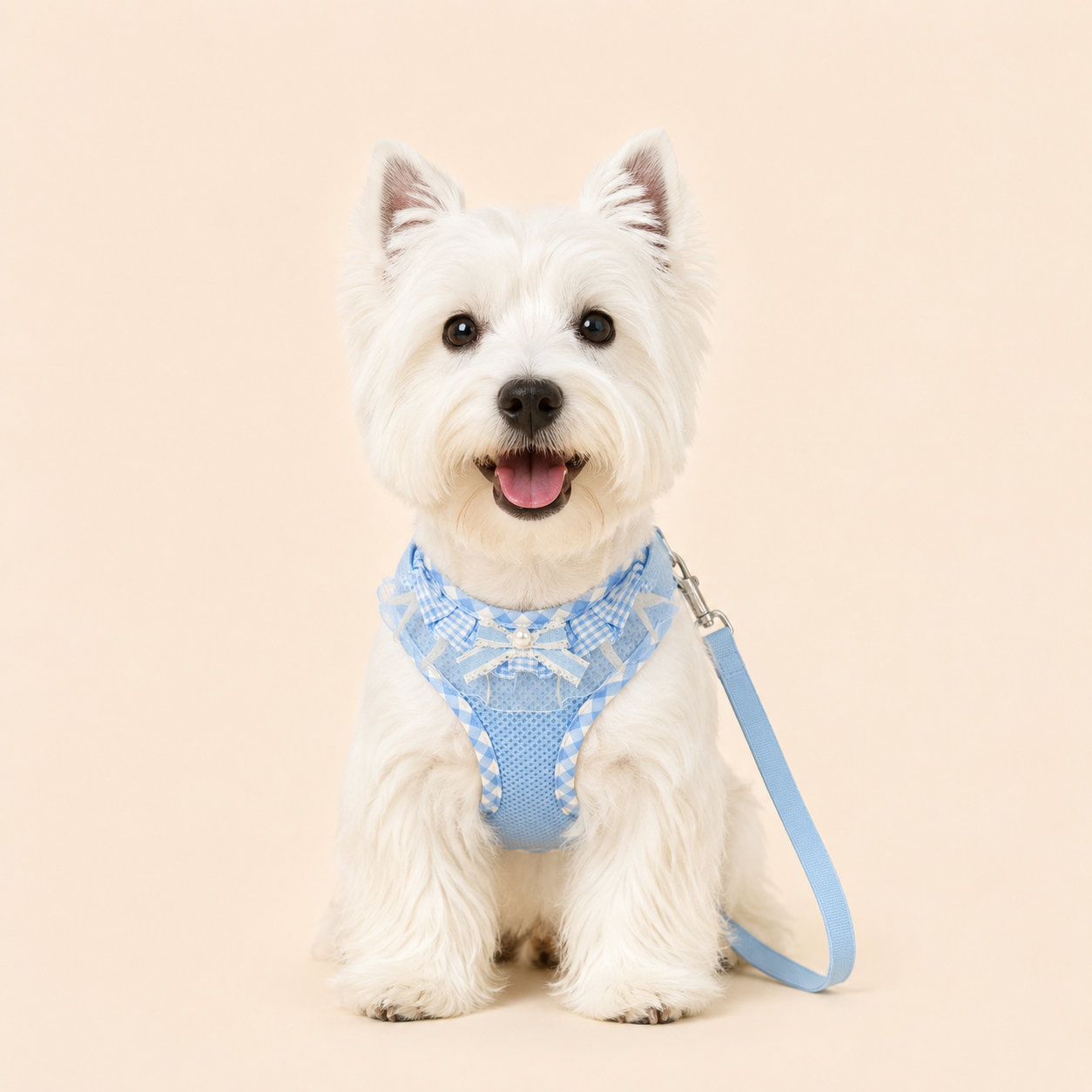 Lace and Beaded Leash and Harness Set, Breathable Mesh Design