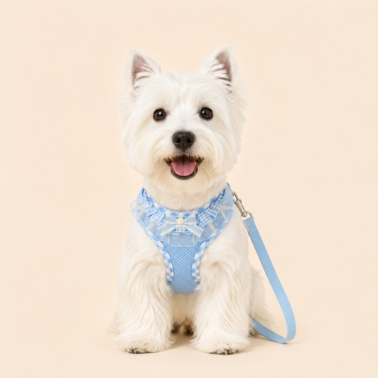 Lace and Beaded Leash and Harness Set, Breathable Mesh Design