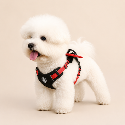 Angels & Demons - Dog Harness and Leash Set - For Everyday Wear and Halloween