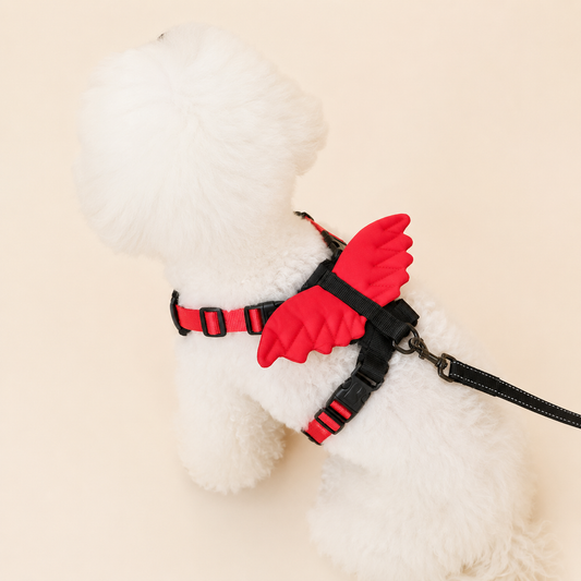 Angels & Demons - Dog Harness and Leash Set - For Everyday Wear and Halloween