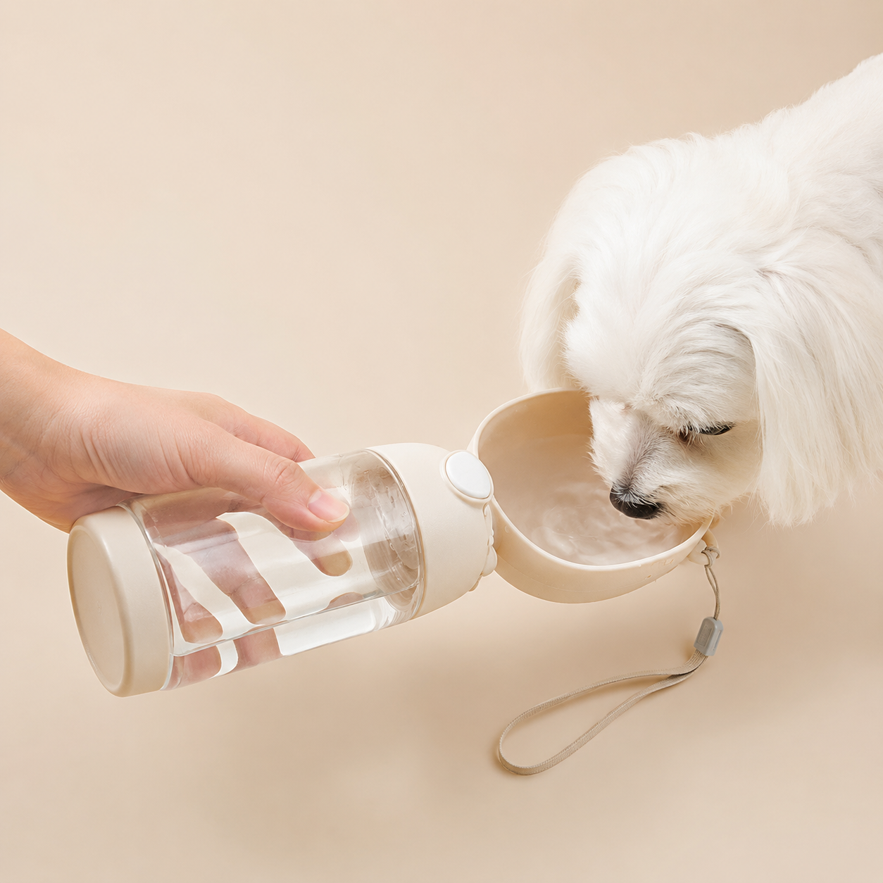 Portable Water Bottles for On-the-Go, Outdoor Water Dispensers for Dogs and Cats