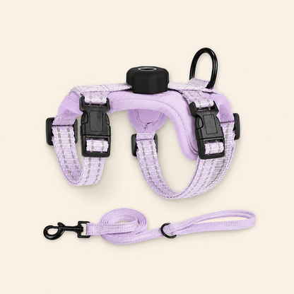 Chest and Back Harness Leash Set with Positioning Protective Case