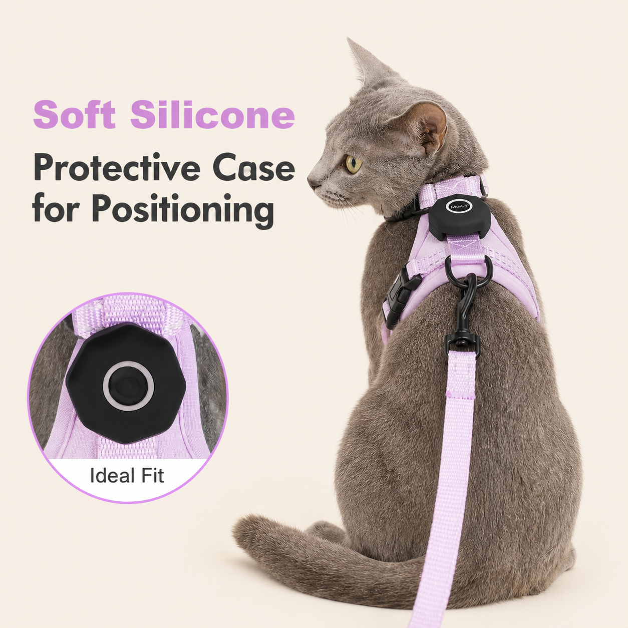 Chest and Back Harness Leash Set with Positioning Protective Case