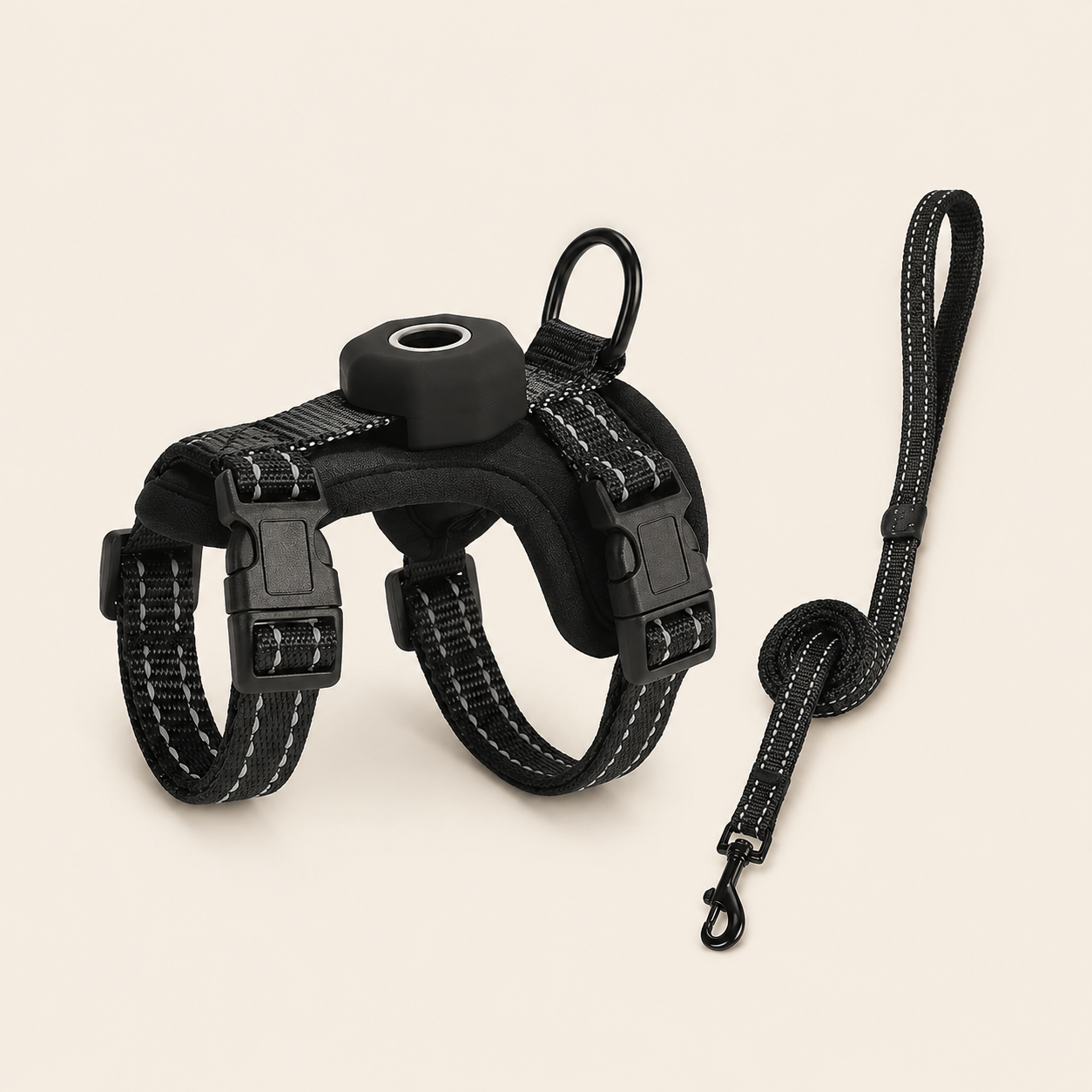 Chest and Back Harness Leash Set with Positioning Protective Case