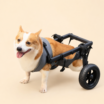 All Terrain Adjustable Pet Wheelchair - Suitable for Small Medium Large Dogs, Disabled Dog Walker Push Cart for Back Leg Injury Arthritis Recovery
