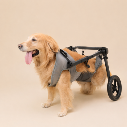 All Terrain Adjustable Pet Wheelchair - Suitable for Small Medium Large Dogs, Disabled Dog Walker Push Cart for Back Leg Injury Arthritis Recovery