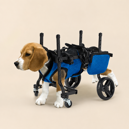 Four-Wheel Dog Wheelchair—For Paralysis, Disabilities, Rehabilitation, Training, and Mobility Assistance