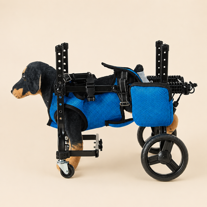Four-Wheel Dog Wheelchair—For Paralysis, Disabilities, Rehabilitation, Training, and Mobility Assistance