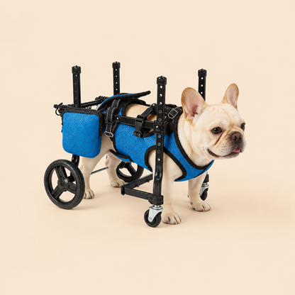 Four-Wheel Dog Wheelchair—For Paralysis, Disabilities, Rehabilitation, Training, and Mobility Assistance