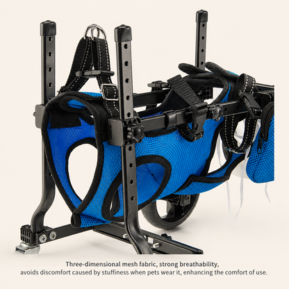 Four-Wheel Dog Wheelchair—For Paralysis, Disabilities, Rehabilitation, Training, and Mobility Assistance